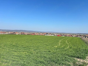 Teren 5375 m2 langa Cartierul Verde Cheriu - imagine 4