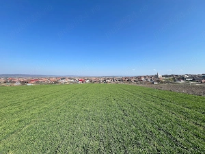 Teren 5375 m2 langa Cartierul Verde Cheriu - imagine 7