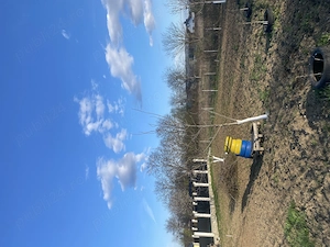 Teren intravilan -municipiul Bacău  - imagine 5