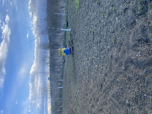 Teren intravilan -municipiul Bacău  - imagine 6