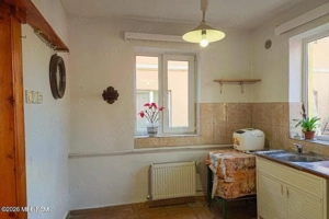 Lunei - Ion Neculce, 2 Apartamente. Mansarda 157 mp. Anexe, Lot 475 mp - imagine 19