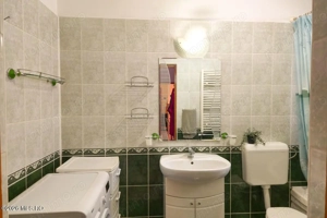 Lunei - Ion Neculce, 2 Apartamente. Mansarda 157 mp. Anexe, Lot 475 mp - imagine 12