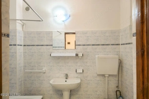 Lunei - Ion Neculce, 2 Apartamente. Mansarda 157 mp. Anexe, Lot 475 mp - imagine 7