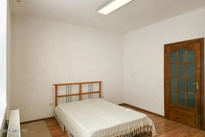 Lunei - Ion Neculce, 2 Apartamente. Mansarda 157 mp. Anexe, Lot 475 mp - imagine 5