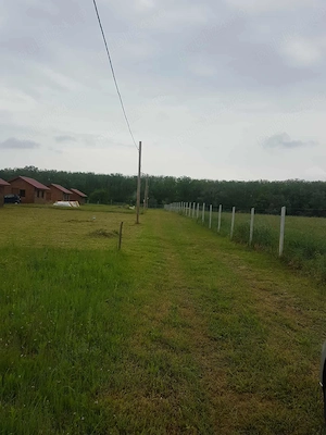 Teren cu căsuța de lemn,320 mp, lângă pădure ,Zona agrement Vladimirescu - imagine 8