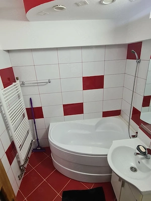 Apartament 2 Camere Ultracentral - imagine 8