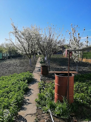 Vând casă în Ciacova  - imagine 4