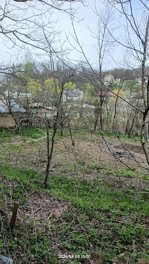 Casă comuna Bozioru Buzău 4660 mp - imagine 8