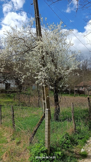 Casă comuna Bozioru Buzău 4660 mp - imagine 9