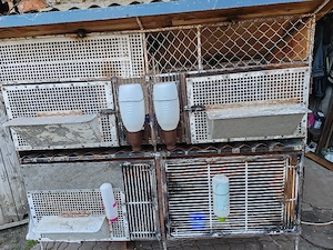 Cușcă pentru iepuri  - imagine 5