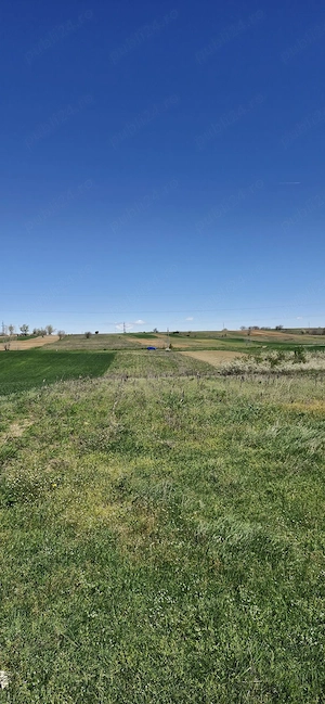 Teren iesire la Dunăre - imagine 6