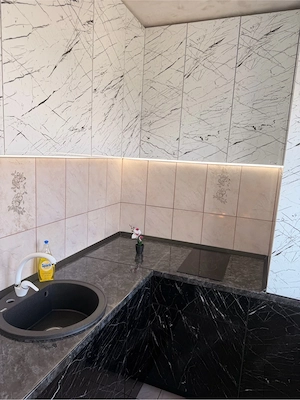 regim hotelier - imagine 3