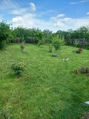 casa de vanzare - imagine 4