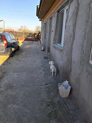 casa de vanzare - imagine 7