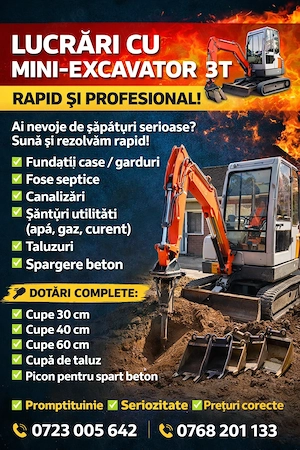 Efectuez lucrări cu mini excavator 