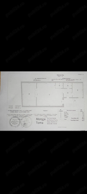 Cișmigiu, Vila interbelica eleganta D+P+1, curte - imagine 10