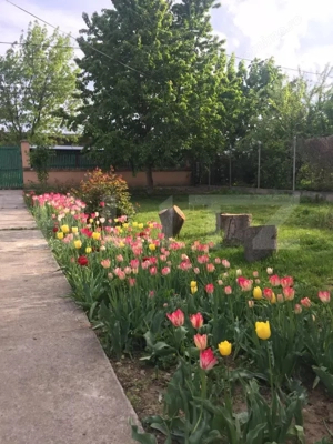 Oază de Liniște în Inima Orașului: Proprietate Exclusivistă cu 2.700 mp Teren 