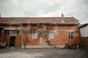 Casa individuala, 234 mp, zona Bichigi - Faget - imagine 6