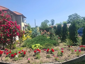 Paradiso Resort, dotari si servicii de 4 margarete in inima Deltei pentru maximum 55 persoane - imagine 4