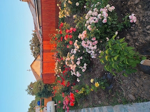 Casa cu teren de vanzare Perieni, Vaslui - imagine 6
