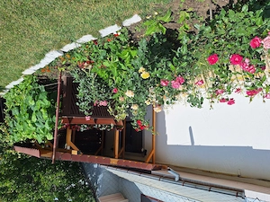 Casa cu teren de vanzare Perieni, Vaslui