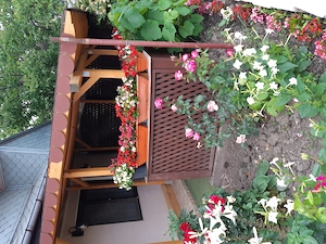 Casa cu teren de vanzare Perieni, Vaslui - imagine 8