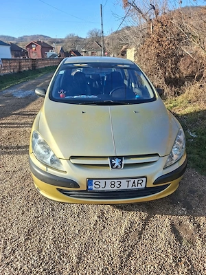 Pegout 307 1.6 benzina 