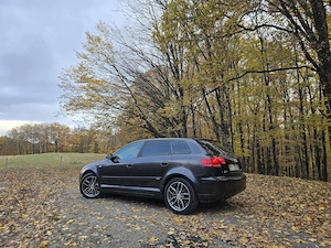 Audi A3 8P s-line quattro  - imagine 8