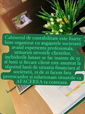 Prestam servicii de contabilitate, resurse umane, secretariat, situatii manageriale etc  - imagine 3