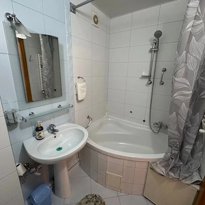 Inchiriere apartament 2 camere Pieptanari - imagine 3