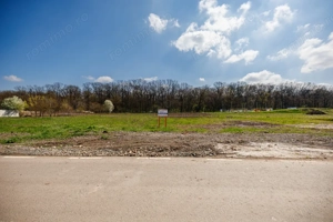 Teren construibil Dumbravita | langa Padurea Verde | Comision 0% - imagine 18