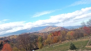 Teren intravilan bran poarta