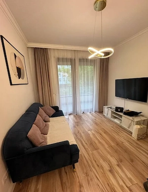 Inchiriez un apartament cu 2 camere, in zona Tineretului, centrala proprie - imagine 3