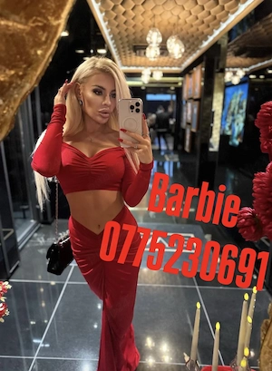 Barbie! v.i.p ! new shemale hight class! big dick!