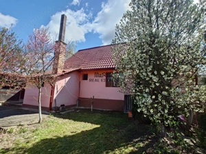 Casa cu gradina si foisor in Brazii Arad - imagine 15