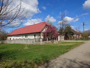 Casa cu gradina si foisor in Brazii Arad - imagine 2