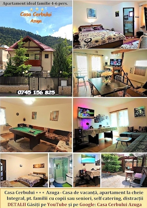 Cazare de familie apartament integral vilă AZUGA, de 1 Mai, 4-6 pers. - imagine 5