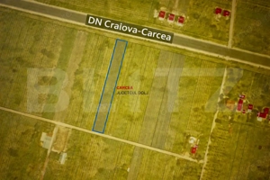 Teren intravilan 2000 mp, front 16,7 ml, vizibilitate la DN, Carcea