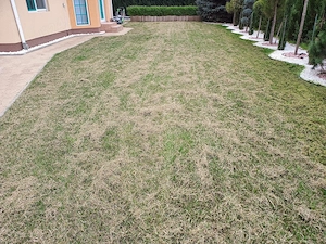 Servicii scarificare gazon  - imagine 3