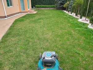 Servicii scarificare gazon  - imagine 4