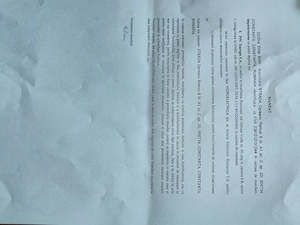 Aspirator AMI profesional