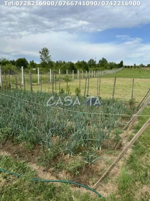 Teren Intravilan (5000 mp),situat în Lelesti, Com. Lelesti - imagine 7