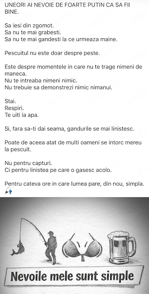 boxe db arena 10 pasive - imagine 4