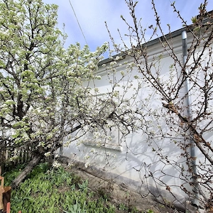 Casă pentru familia ta   spațiu, liniște și siguranță  - imagine 4