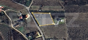 Teren Vanzare Plopu(GALMEIA)Oportunitate Investitie-DEZVOLTATOR IMOBILIAR - imagine 2