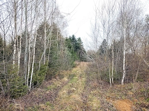  Teren Superb la Munte, Drăguș (BV)   Țara Făgărașului, zonă turistică, cu pârău, 250m Aventura Park - imagine 4