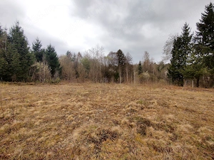  Teren Superb la Munte, Drăguș (BV)   Țara Făgărașului, zonă turistică, cu pârău, 250m Aventura Park