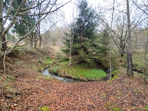 Teren Superb la Munte, Drăguș (BV)   Țara Făgărașului, zonă turistică, cu pârău, 250m Aventura Park - imagine 8