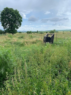 Casă de vânzare Sacalaseni  - imagine 4