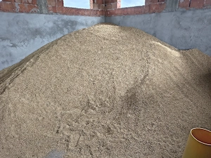 orzoaica de primavara 